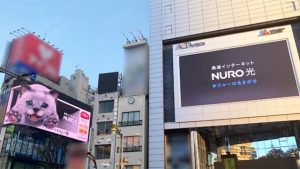 新宿東口 巨大ニャーロ NURO 光 巨大猫
