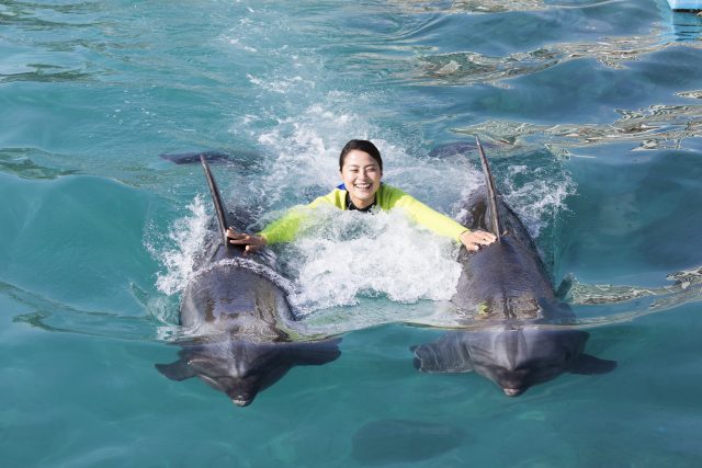 海の中でイルカと一緒に泳げるアクティビティ「ドルフィンプログラム」
