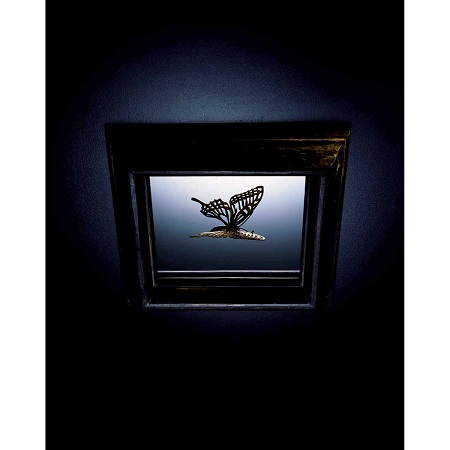 『Butterfly in the frame（Type-A）』（2004年）Photography by KATSURA ENDO