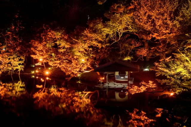 八芳園のガーデンライトアップイメージ