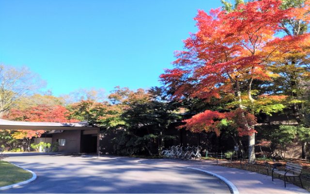 「ホテル鹿島ノ森」は、旧軽井沢に1万坪の敷地を有し、美しい自然に囲まれている施設だ。