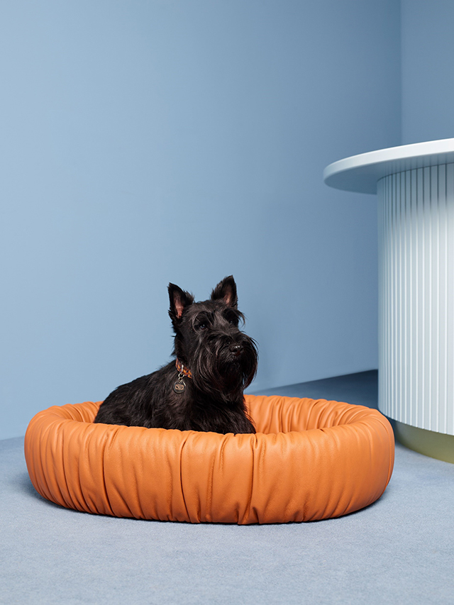 Dog Bed：352,000円（Mサイズ）、451,000円（Lサイズ）