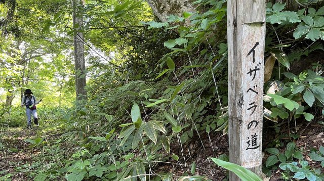 越後米沢街道十三峠