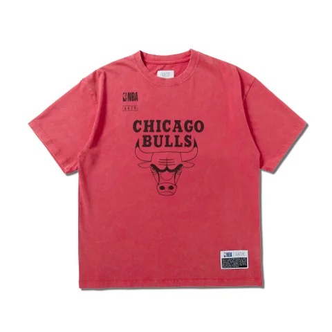 NBA×AKTR AGING TEAM LOGO TEE CHI RD