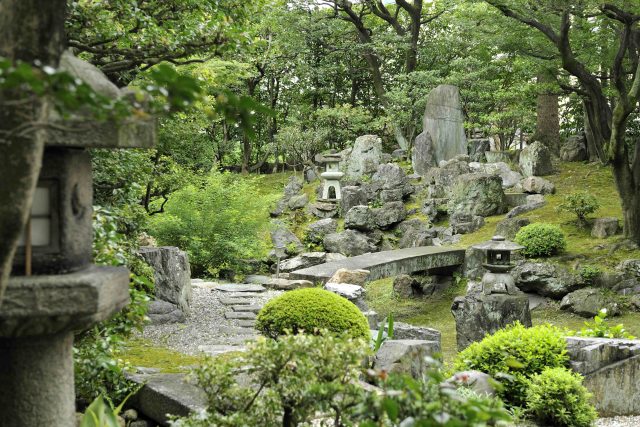 壬生寺【京都市指定・登録文化財】庭園