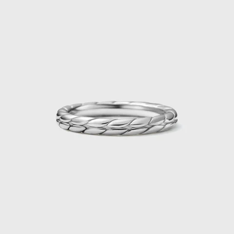 SV（Ptc）Ring：19,800円