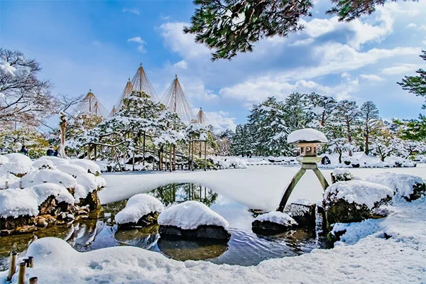 兼六園の雪吊り