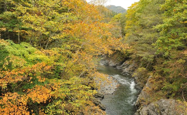 写真提供・北海道大樹町観光WEB