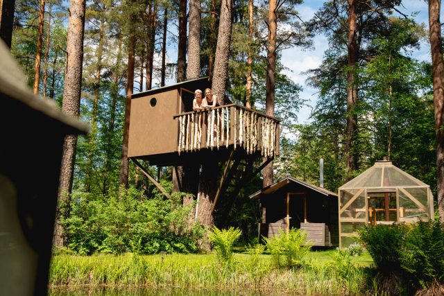 Tree House Sauna/Viking Sauna World